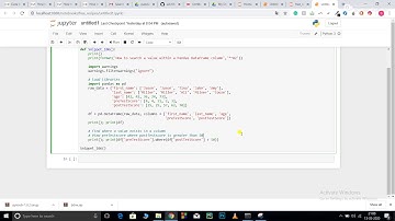 How to search a value in Pandas dataframe column?