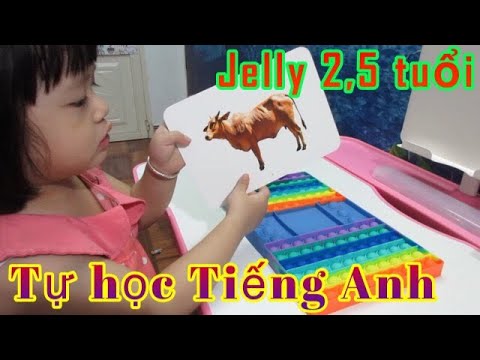 Video Jelly 2,5 tuổi tự học Tiếng Anh - Học Tiếng Anh... - youtube