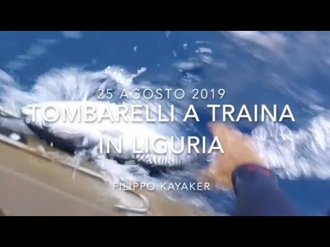tombarelli a traina in liguria