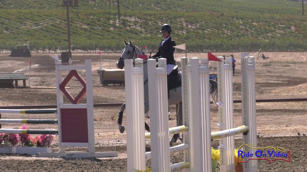horseshoe bend 206S Juliana Cassar on Steele Moon JR Novice Show Jumping Twin Rivers Ranch Sept. 2019