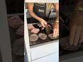 DINNER CHAGOLLA - GUANAJUATO MX 🎥4K #shortvideo #youtubeshorts #food #reels #foodie #shorts #cooking