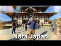 Nara Japan World Heritage Site 2023