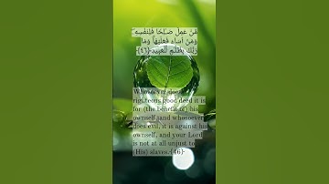 سورة فُصّلت|[surah-Fussilat]