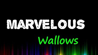 Wallows - Marvelous (Lyrics)
