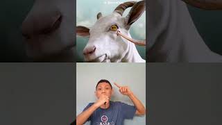 Benarkah tanduk kambing dapat menusuk matanya sendiri?