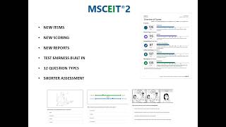 About MSCEIT 2!