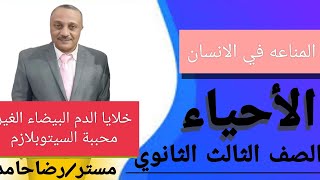 شرح خلايا الدم البيضاء الغير محببه السيتوبلام