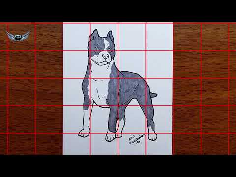 kolay köpek çizimi - basit ve kolay hayvan çizimleri