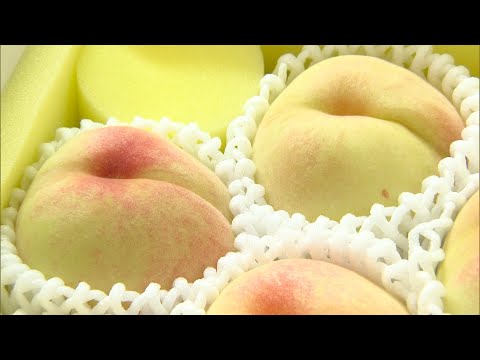 Four varieties of peaches, including Shimizu white peaches, are on