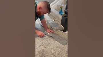 ✅ The perfect step 👌🏻🔥Here’s how 👍🏻#carpet #flooring #pov #howto #tips #diy #teirnanmccorkell
