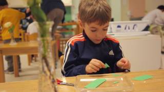 Lumin Education Video