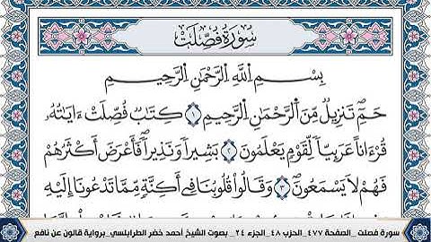 سورة فصلت مكتوبة احمد الطرابلسي قالون عن نافع