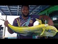 கடலில் மீன்களிலேயே மிக அழகான மீன் பிடிக்கும் அற்புத காட்சி/BEAUTYFULL MAHI MAHI FISH IN DEEP SEA..