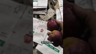 apple cold store himachal | himachal apple 🍎 #indianmountains