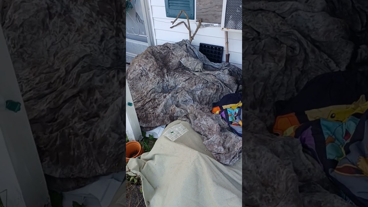 Florida freeze tip. so the freeze is here