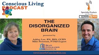 The Disorganized Brain