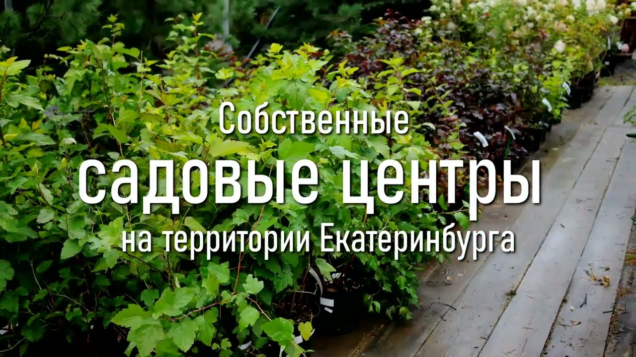 Арт-Ландшафт: адрес, телефон, режим работы