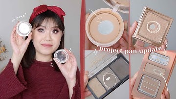 ENDING THE YEAR WITH LOTS OF PAN 🤩 project pan update #16