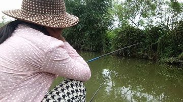 Câu Cá Thác Lác Đồng Mùa Nước Ngập Mặn Khô Cằn