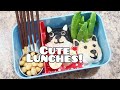 THE CUTEST LUNCHES FOR KIDS - Bento styled lunch ideas +what she ate | Bella Boo's Lunches |