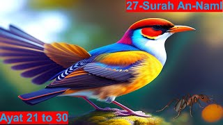 |Surah An Naml| al naml| ayat| 21 to 30 | By Sayed Saleem|