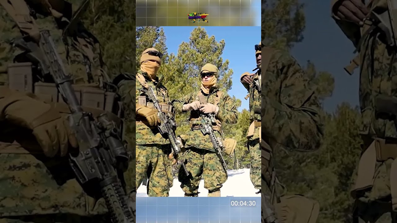 U S Marines With 1st Battalion Marine Regiment Conduct A Live Fire Range