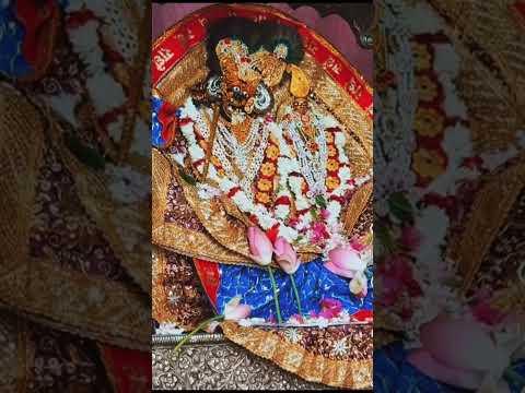 Radha rani ke divya darshan #shortsfeed #ytshorts #status #radharani