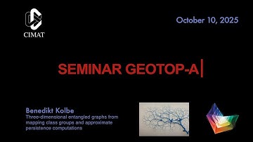 GEOTOP-A | Benedikt Kolbe | Three-dimensional entangled graphs from mapping class groups and appr...