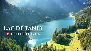 Lac de Taney SWITZERLAND – The ALPINE Oasis – Wonderful Lake in the Canton of Valais / Wallis