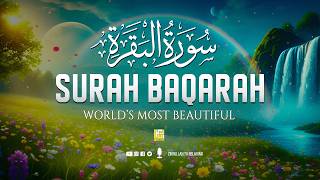 Download Lagu Surah Al-Baqarah Full (سورة البقرة) | Ultimate Peaceful Quran Recitation for Inner Healing #baqarah MP3