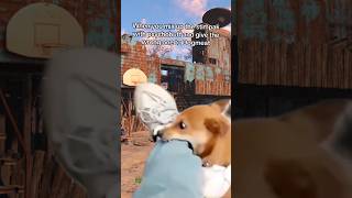 #fallout #falloutmeme #fallout4 #falloutedit #dogmeat #fallout4dog
