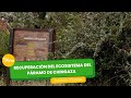 Recuperación del ecosistema del páramo de Chingaza - TvAgro por Juan Gonzalo Angel Restrepo