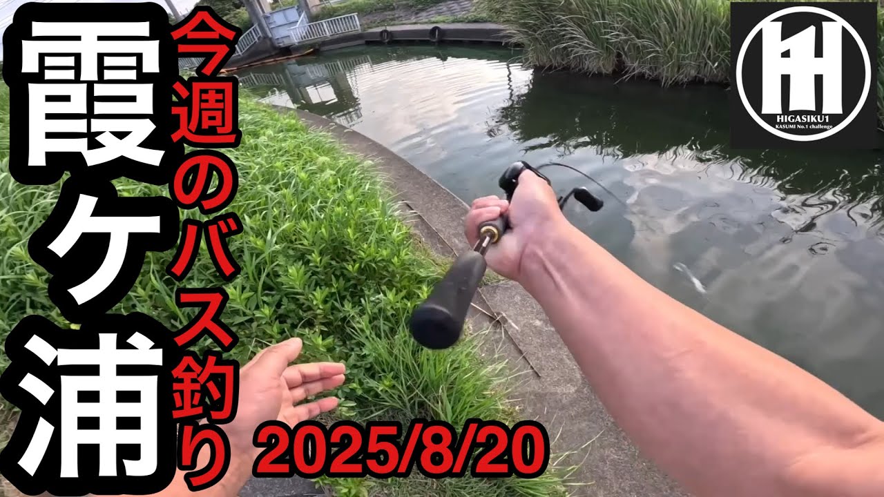 ドカンを目指して‥バス釣り今週の霞ヶ浦2025年8月20日