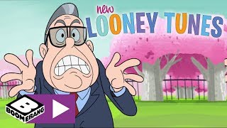 New Looney Tunes The First Rabbit Boomerang Uk