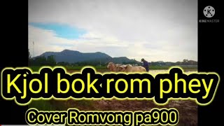 Kjol bok rom phey(cover pa900