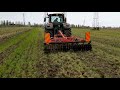 Lavorazione post trinciatura cover crop   con angeloni eco killer  metodo conservativo  arca