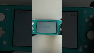 Custom Nintendo Switch Lite PicoFly Mod | Ghost Shop setup | Tinfoil | TMR sticks | Homebrew Menu
