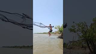 casnet flying throw chatting Big fish #viralvideo #shortvideo