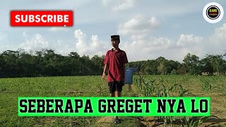 Seberapa Greget nya Lo ? || Kang Tutor