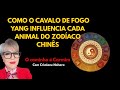 COMO O CAVALO DE FOGO YANG INFLUENCIA CADA ANIMAL DO ZODÍACO CHINÊS!