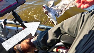 I caught a BIRD and tons of speckled trout