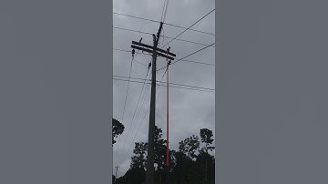 Tap fuse connection #electric #line #11kv #tap #fuse #connection #viralvideo #shorts