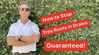 How to Stop Roots in Drains - Guaranteed!