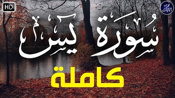 سورة يس كاملة تلاوه تريح القلب