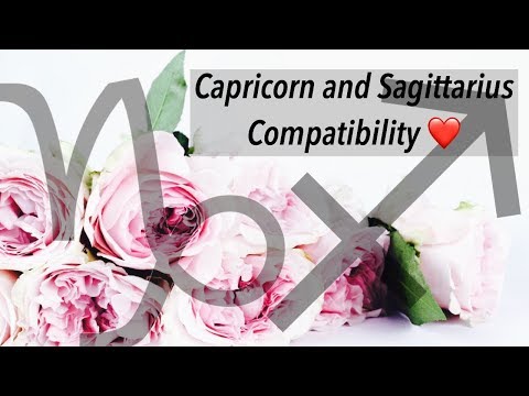 capricorn and sagittarius in bed