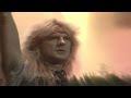 Saxon - Northern Lady