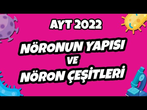 Video: Heksanolün yapısı nedir?