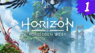 ВОЗВРАЩЕНИЕ  ЭЛОЙ! | ПРОДОЛЖЕНИЕ ХОРАЙЗЕН | Horizon Forbidden West  #1
