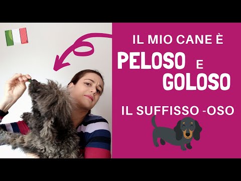 Video: C'è una parola odoroso?