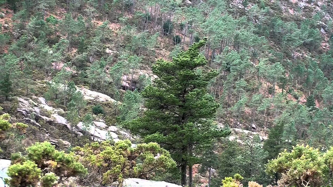 COSTA DA MORTE: MONTE PINDO, DEVESA DE ANLLARES, MARISMAS DE CARNOTA. PRIMERA PARTE